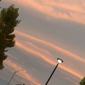 Meet your Posher, Ava